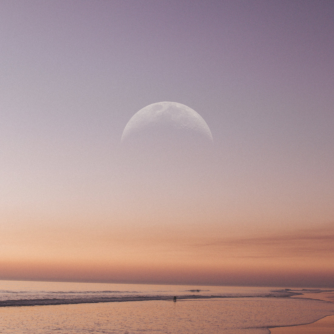 It is our friend in darkness, Luna.